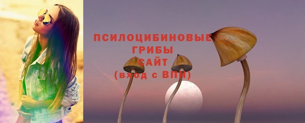 мяу мяу мука Новозыбков