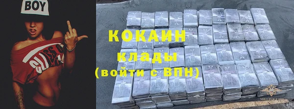 ГАЛЛЮЦИНОГЕННЫЕ ГРИБЫ Няндома