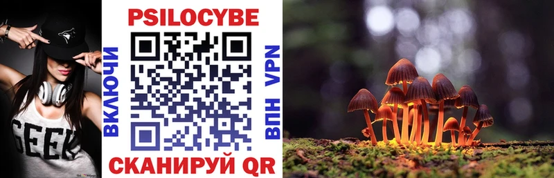наркошоп  Отрадный  Псилоцибиновые грибы Psilocybe 