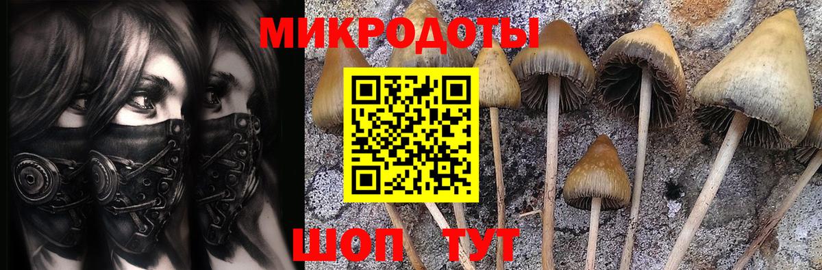 Отрадный  Псилоцибиновые грибы прущие грибы  Вход с VPN 