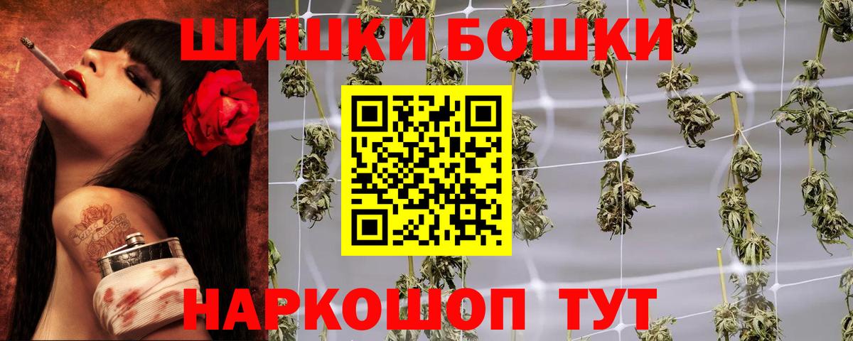 Конопля OG Kush Отрадный